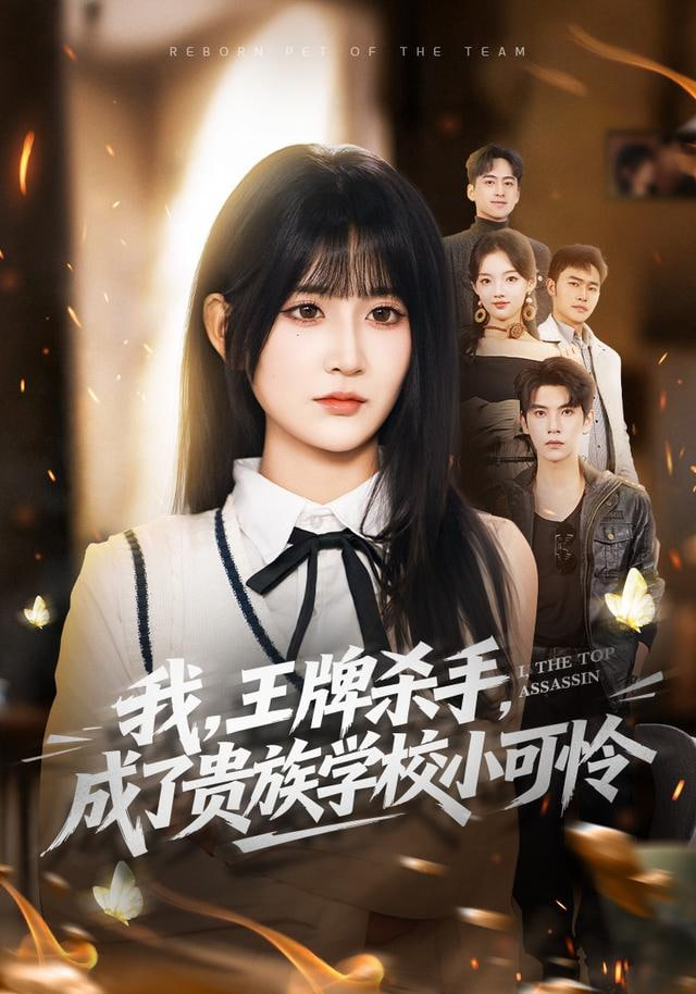 我的阿勒泰